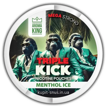 Снюс Aroma King NoNic Menthol Ice 100 мг 53473 - фото интернет-магазина Кальянер