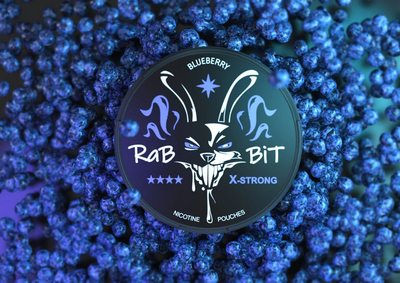 Снюс Rabbit Blueberry 150 мг 5654765 - фото інтернет-магазина Кальянер